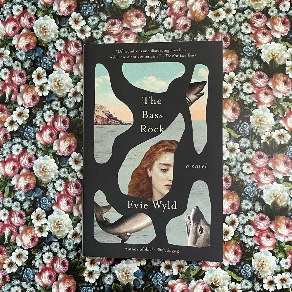 The Bass Rock by Evie Wyld